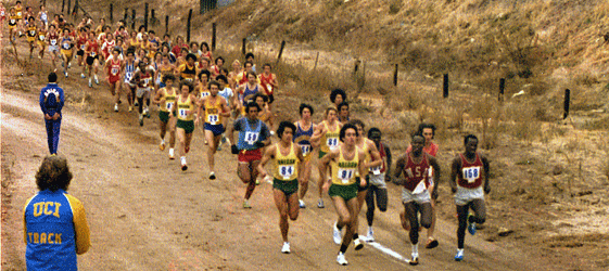 Start of District 8 Regionals XC race 1978